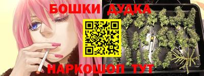шишки Славгород