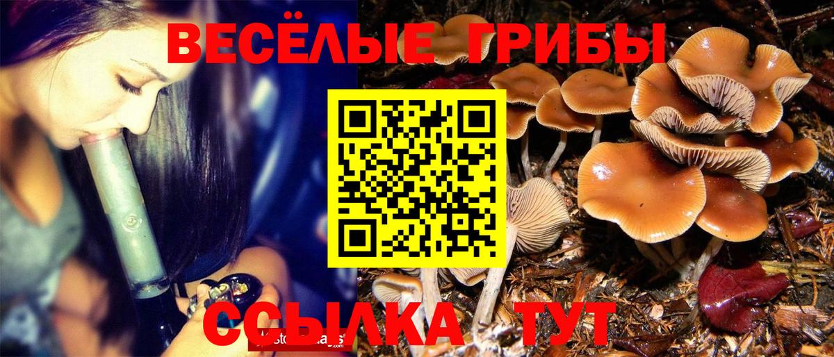 Галлюциногенные грибы ЛСД  Вход с VPN  Псилоцибиновые грибы Psilocybine cubensis  Воркута 